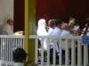 dsc31779_small.jpg