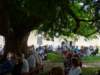 dsc31805_small.jpg