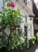 dsc31811_small.jpg